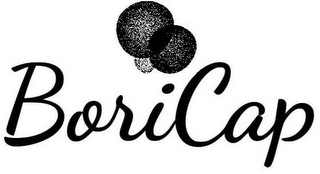 BORICAP logo