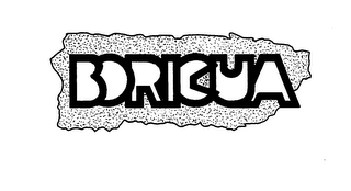 BORICUA logo
