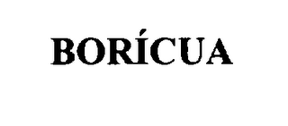 BORICUA logo