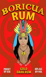 BORICUA RUM 750 ML 80 PROOF PRODUCT OF USA DARK GOLD RUM 40% ALC BY VOL logo