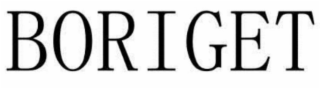 BORIGET logo