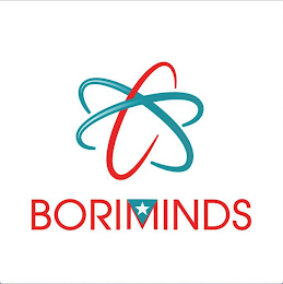 BORIMINDS logo