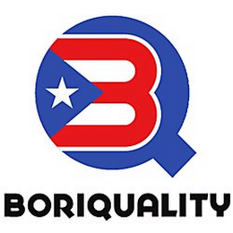 BORIQUALITY logo