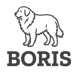 BORIS logo