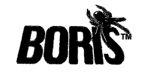 BORIS TM logo