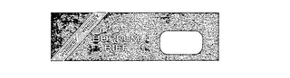 BORKUM RIFF logo