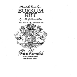 BORKUM RIFF logo