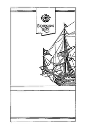 BORKUM RIFF logo