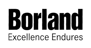 BORLAND EXCELLENCE ENDURES logo
