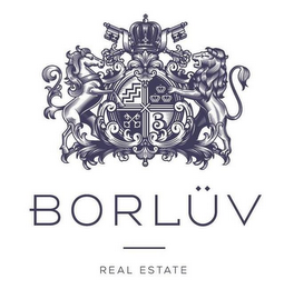 BORLÜV REAL ESTATE logo