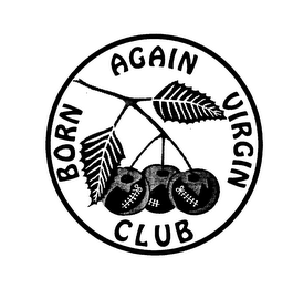 BORN AGAIN VIRGIN CLUB logo