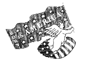 BORN IN AMERICA logo