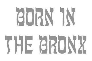 BORN IN THE BRONX logo