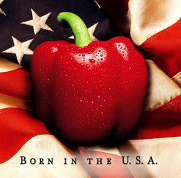 BORN IN THE U.S.A. logo