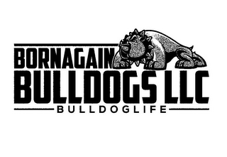 BORNAGAIN BULLDOGS LLC BULLDOGLIFE logo