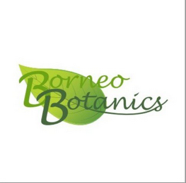 BORNEO BOTANICS logo
