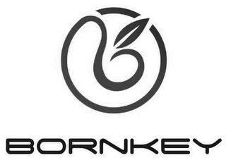 BORNKEY logo