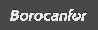 BOROCANFOR logo
