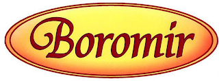 BOROMIR logo