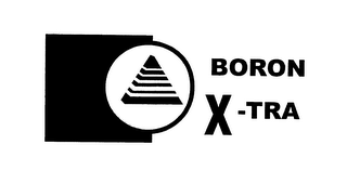 BORON X-TRA logo