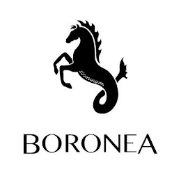 BORONEA logo