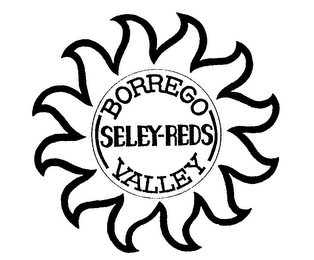 BORREGO SELEY-REDS VALLEY logo