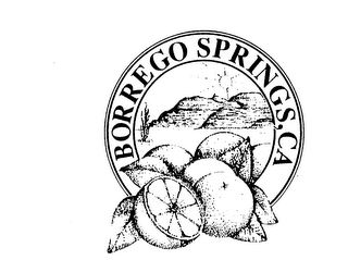 BORREGO SPRINGS, CA logo
