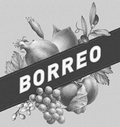 BORREO logo