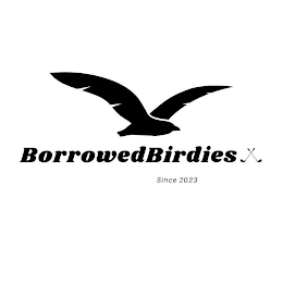 BORROWEDBIRDIES SINCE 2023 logo