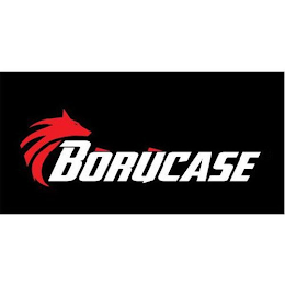 BORUCASE logo
