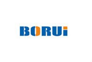 BORUI logo