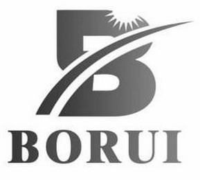 BORUI logo