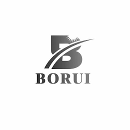 BORUI logo