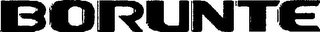 BORUNTE logo