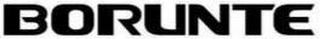 BORUNTE logo