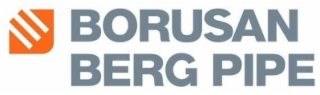 BORUSAN BERG PIPE logo