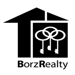 BORZ REALTY logo