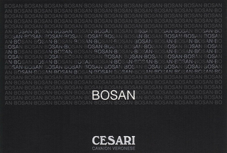 BOSAN CESARI CAVAION VERONESE logo