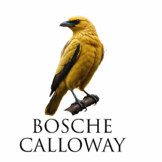 BOSCHE CALLOWAY logo
