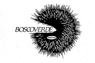 BOSCOVERDE MAGGIORA logo