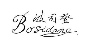 BOSIDENG logo