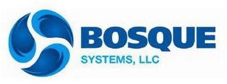 BOSQUE SYSTEMS, LLC logo