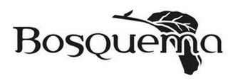 BOSQUEMA logo