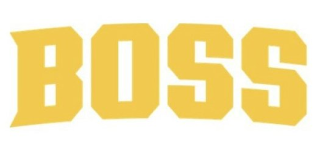 BOSS logo