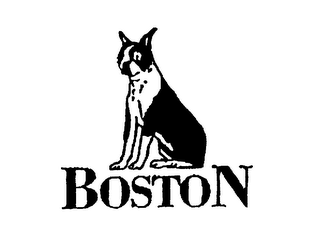 BOSTON logo