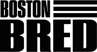 BOSTON BRED logo