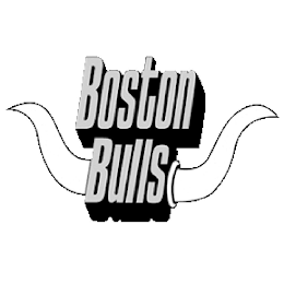 BOSTON BULLS logo