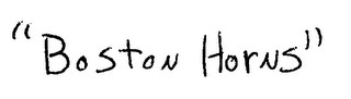 BOSTON HORNS logo