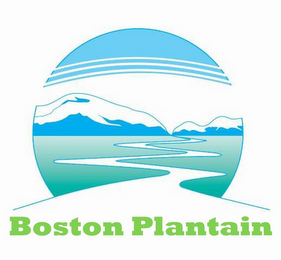 BOSTON PLANTAIN logo