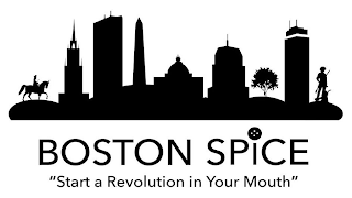 BOSTON SPICE "START A REVOLUTION IN YOUR MOUTH" logo